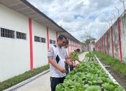 Lapas Sampit Panen Sayur Pakcoy Hidroponik, Hasil Kegiatan Pembinaan WBP