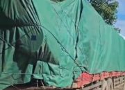 Viral Truk Bermuatan Kayu Log di Jalan Katingan, Dinas Kehutanan Perketat Pengawasan